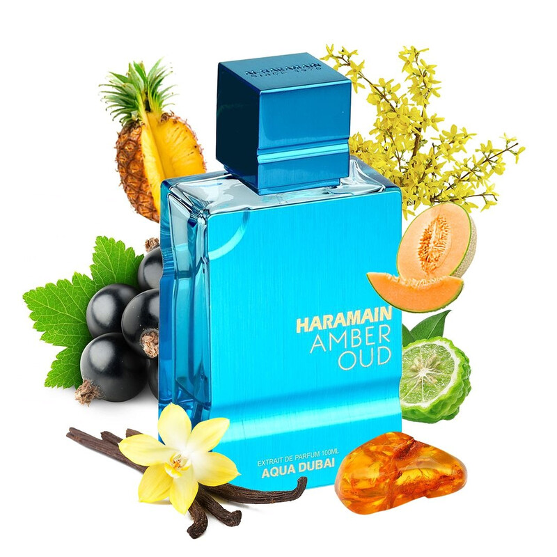 Al Haramain Unisex Amber Oud Aqua Dubai Extrait de Parfum Spray 3.38 oz - Image 4