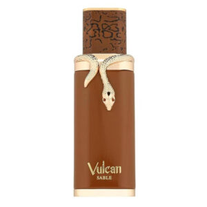 French Avenue Fragrance World Unisex Vulcan Sable EDP Spray 3.38 oz
